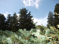 rrente Quarantore-20110911 108